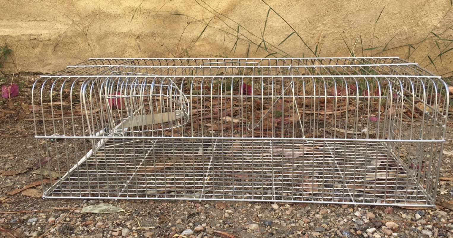 8804cdaf-807e-4e90-baae-c594dc38af5f 2