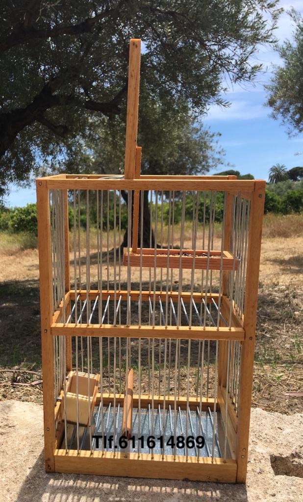 b706e9b6-f681-4593-a9e5-476cf46709da