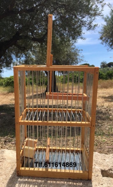 b706e9b6-f681-4593-a9e5-476cf46709da