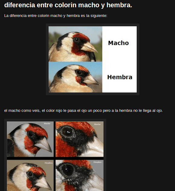 captura-de-pantalla-de-2016-09-30-190931