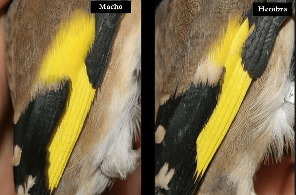 captura-de-pantalla-de-2016-10-01-130443