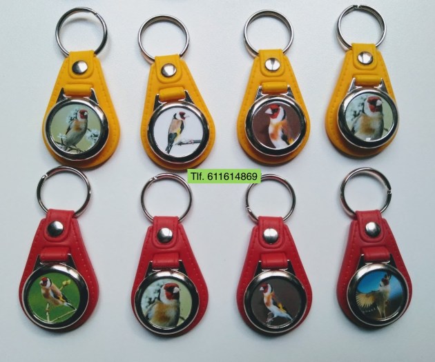 IMG-20180324-WA0015-2