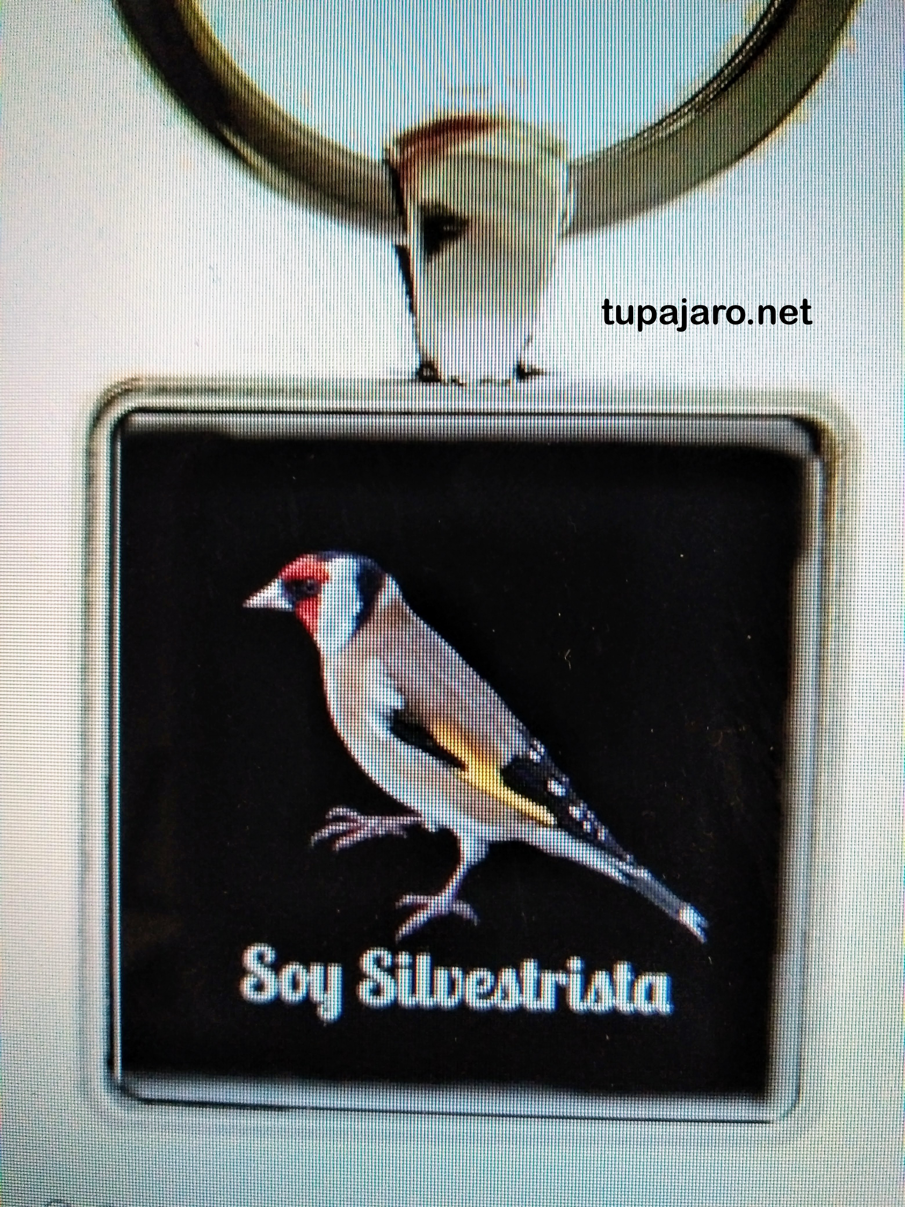 IMG_20171204_120256-2