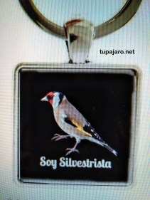 IMG_20171204_120256-2