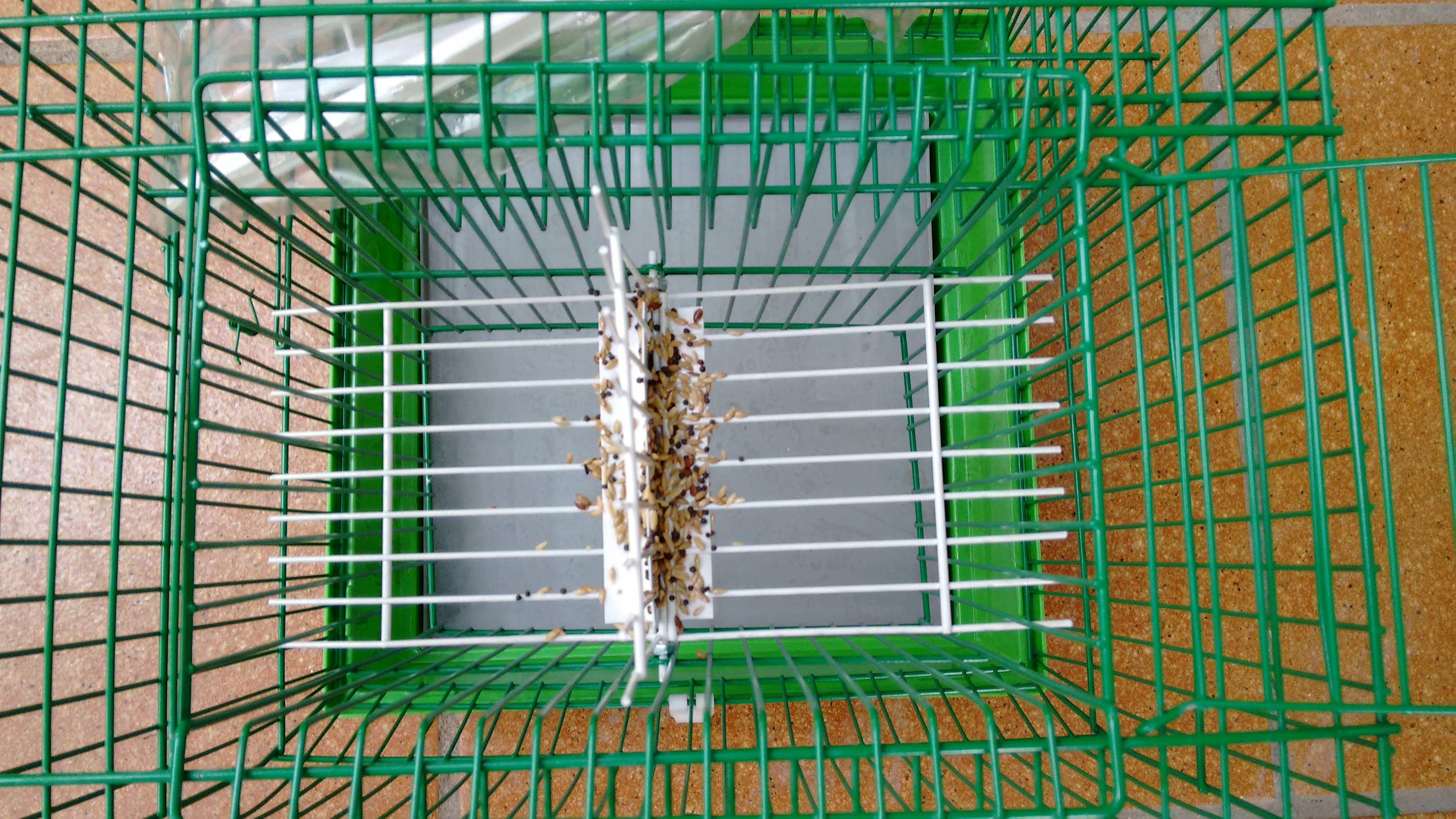 Molinillo vista desde arriba mecanismo