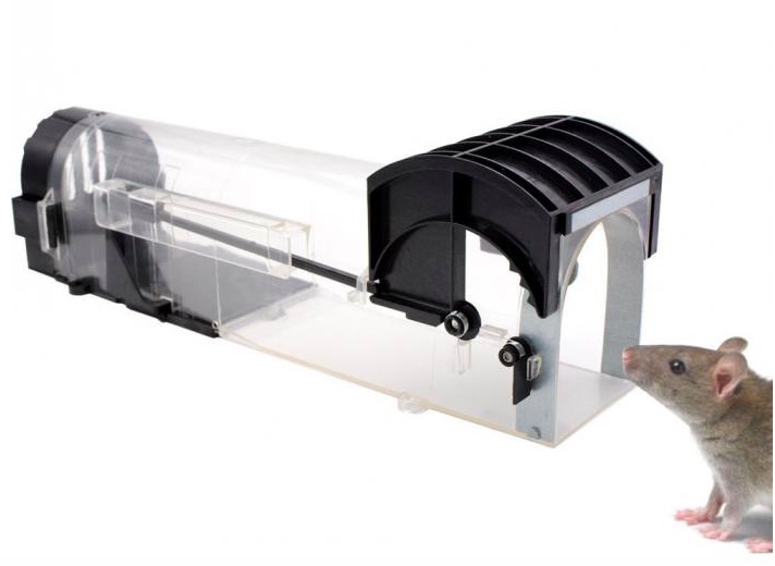 trampa ratas