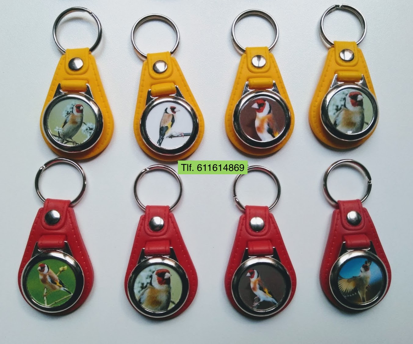 IMG-20180324-WA0015-2