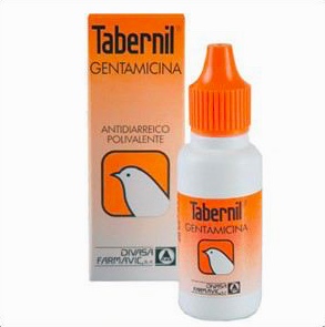 Sin títulotabernil gentamicina